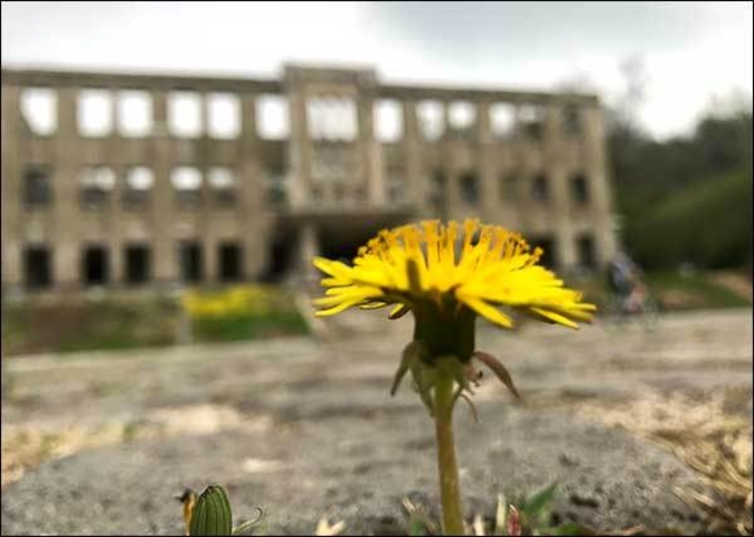 서두르지 않는 철원의 봄