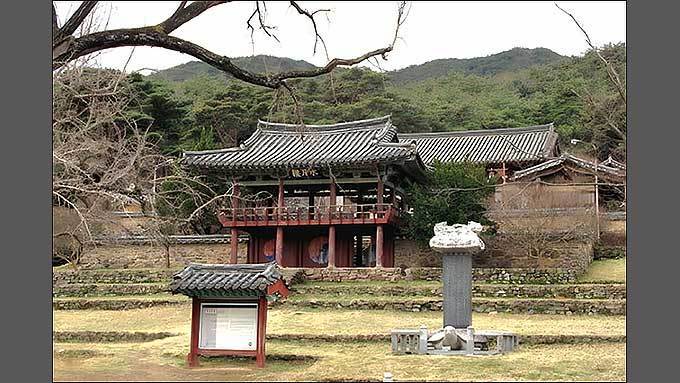 유교 질서 속에 남은 차