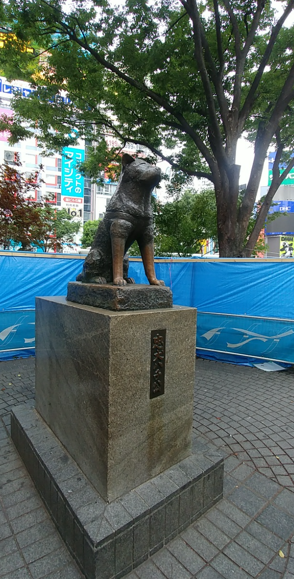 충견 하치 동상을 보지 않고 도쿄에 갔다하지마라 [우리문화신문] 충견 하치 동상을 보지 않고 도쿄에 갔다하지마라