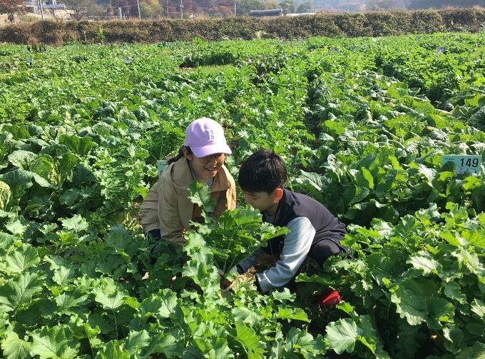친환경농장 분양 받아 먹거리 키워볼까? [우리문화신문] 친환경농장 분양 받아 먹거리 키워볼까?